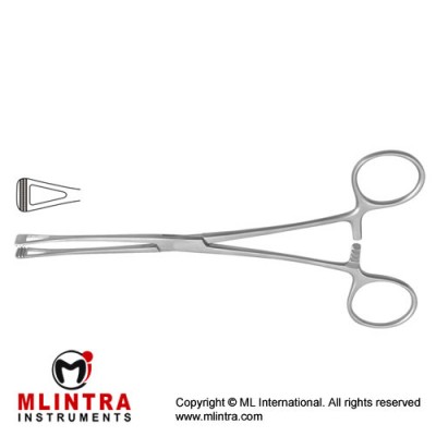 Scheibe (Collin) Atrauma Organ Grasping Forceps Wide Jaw Stainless Steel, 23 cm - 9"